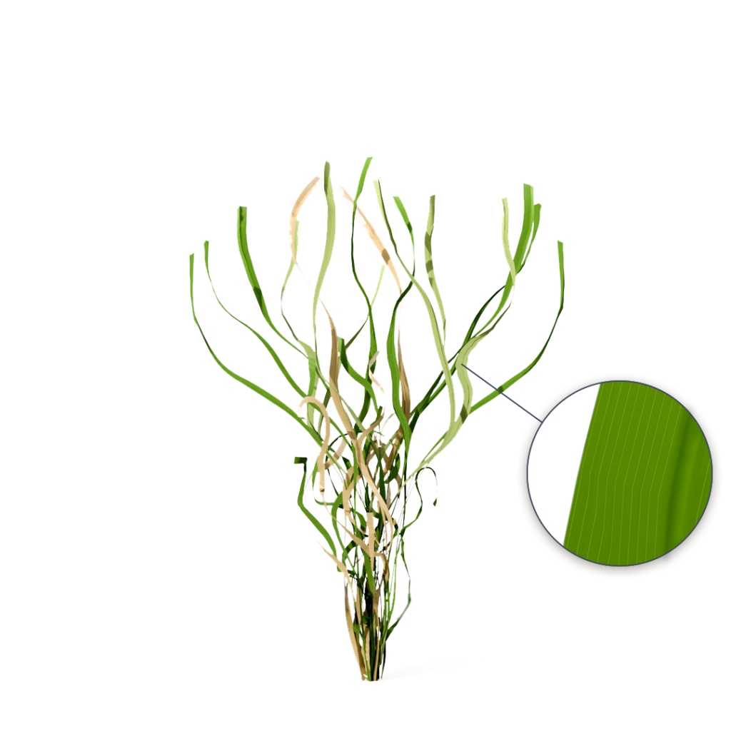 Royal Grass technologie MiNT gazon artificiel